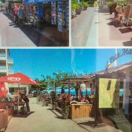 Spacieux A Avec Terrasse 公寓 *